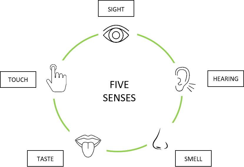 Sensoriality in Naming: Five Senses