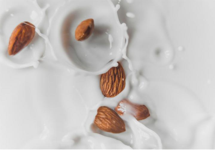 Dairy Brand Naming: Innovative Strategies for Plant-Based Dairy Brands
