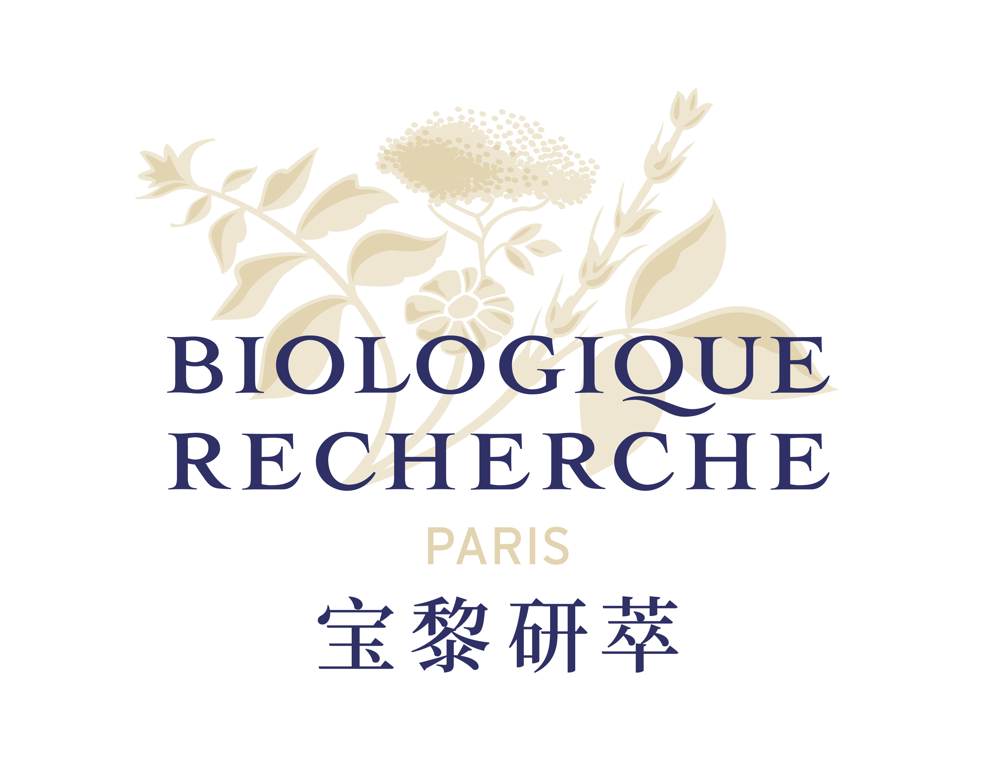 luxury skincare localization
emotional branding in China
